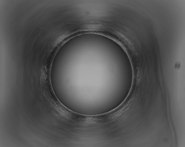 X0000090421449200707131158