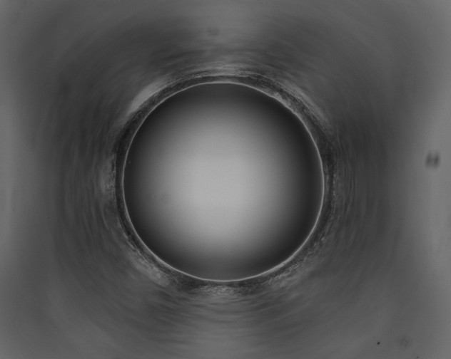 X0000090421450200707131158