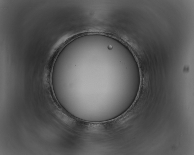 X0000090421454200707131158