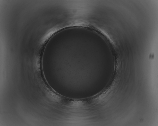X0000090421455200707131158