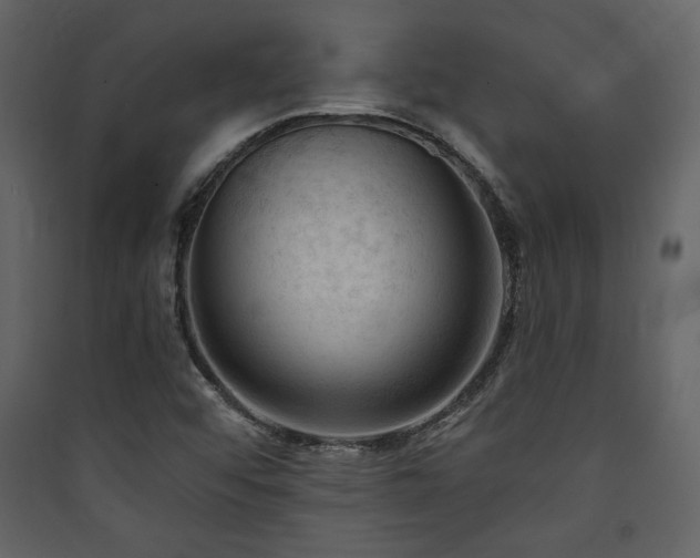X0000090421456200707131158