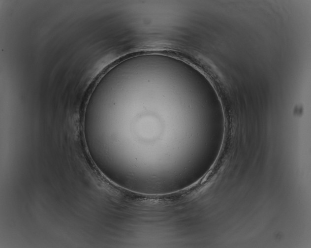 X0000090421457200707131158