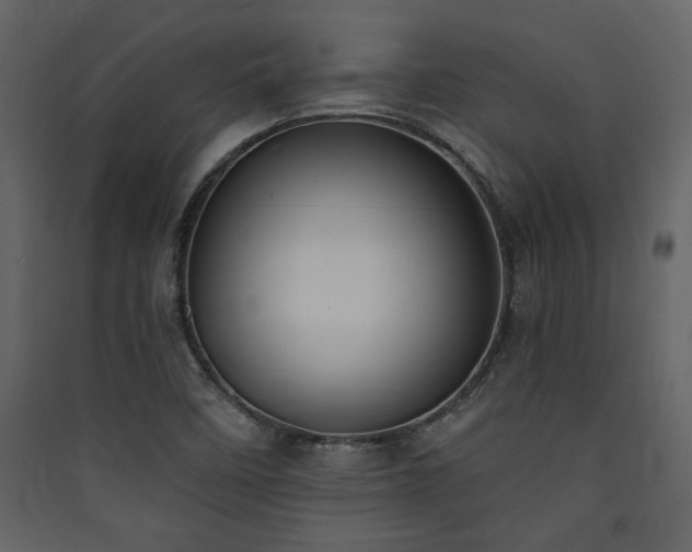 X0000090421458200707131158