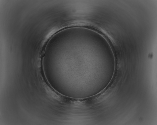 X0000090421459200707131158