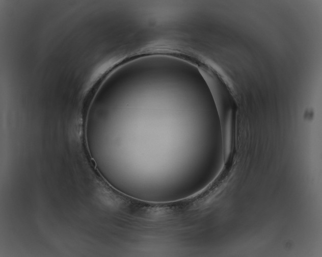 X0000090421461200707131158
