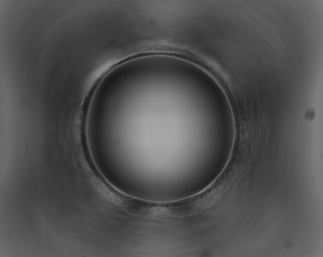 X0000090421463200707131158