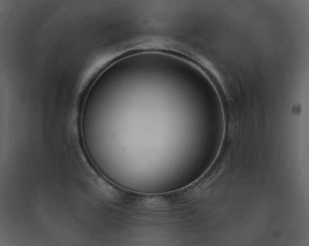 X0000090421464200707131158