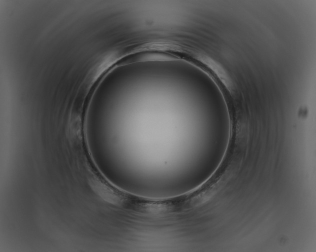 X0000090421465200707131158