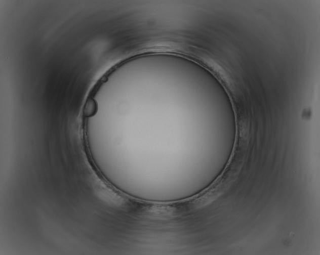 X0000090421466200707131158