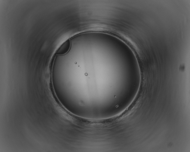 X0000090421467200707131158