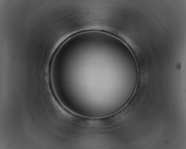X0000090421468200707131158