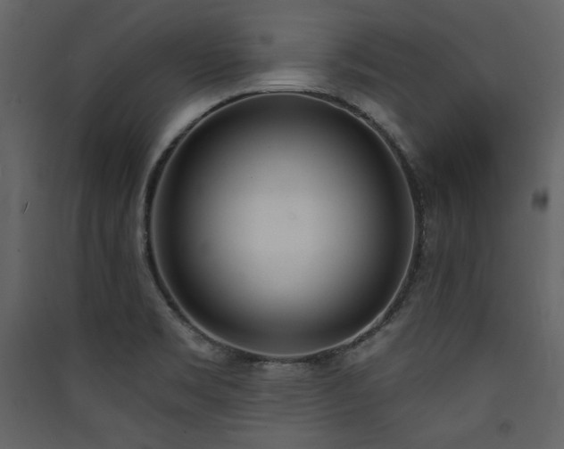 X0000090421469200707131158