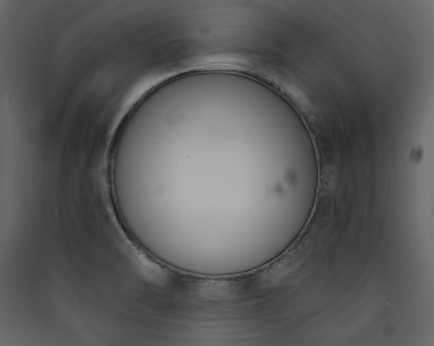 X0000090421470200707131158