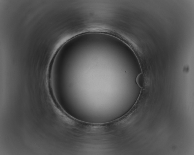 X0000090421471200707131158