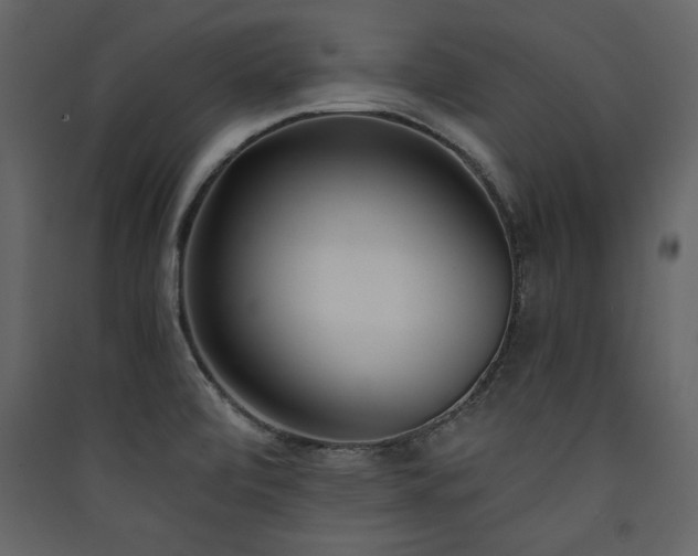 X0000090421472200707131158