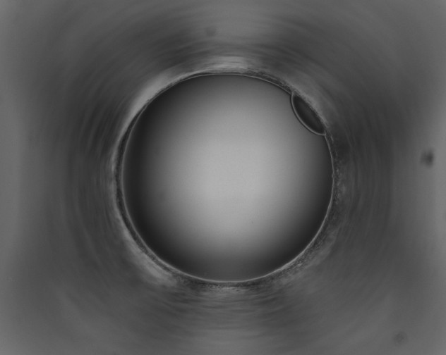 X0000090421475200707131158