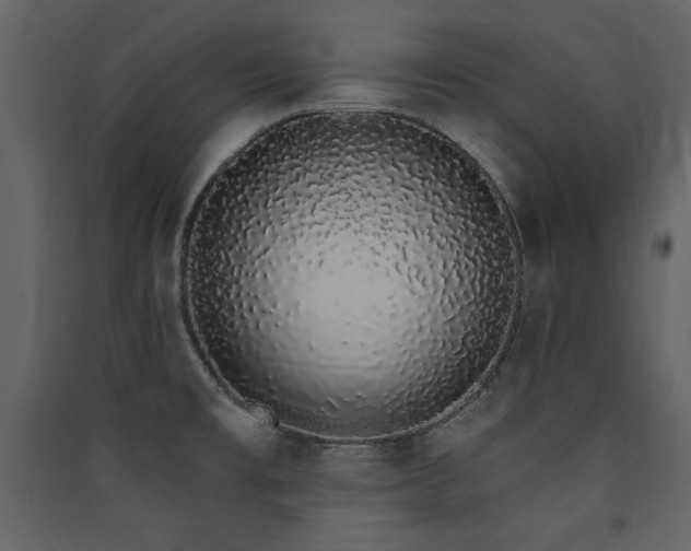 X0000090421477200707131158