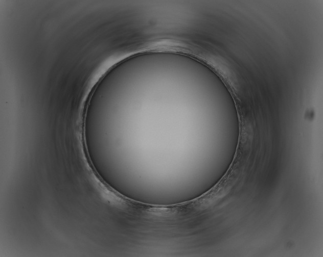 X0000090421478200707131158