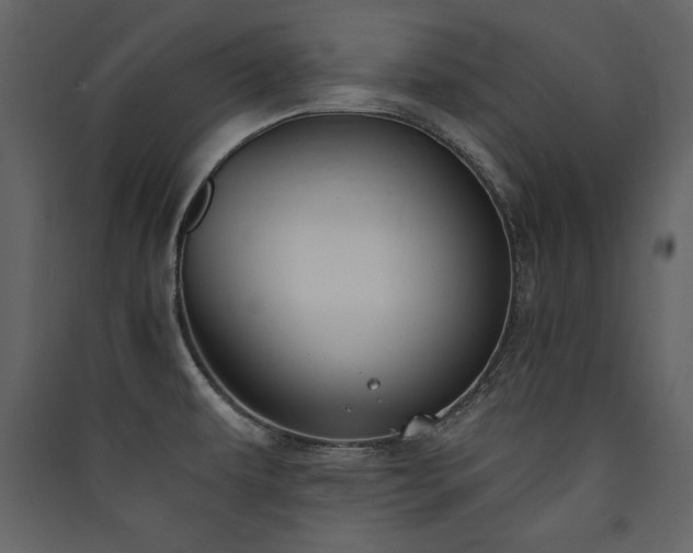 X0000090421479200707131158