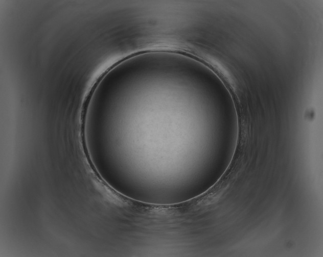 X0000090421480200707131158