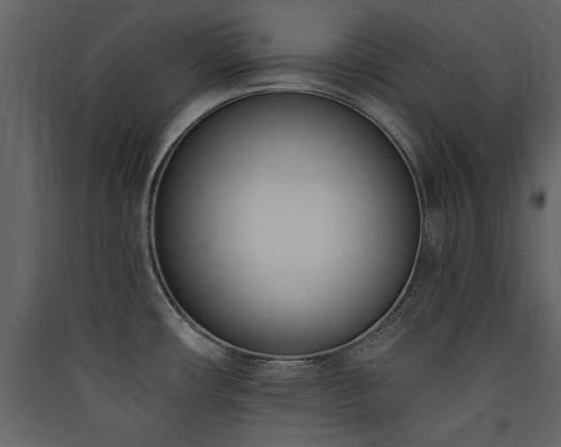 X0000090421482200707131158