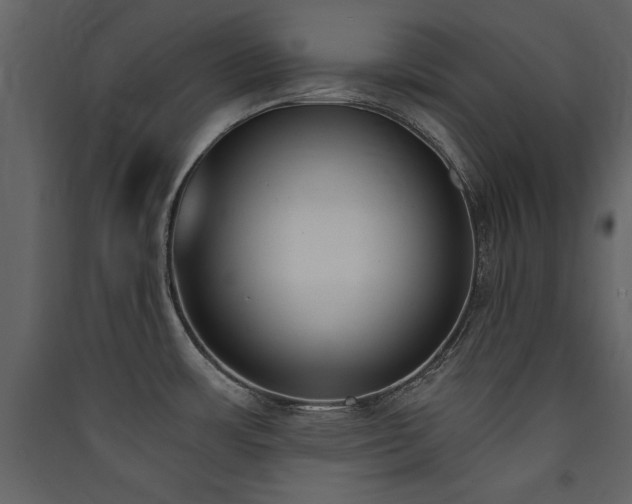 X0000090421483200707131158