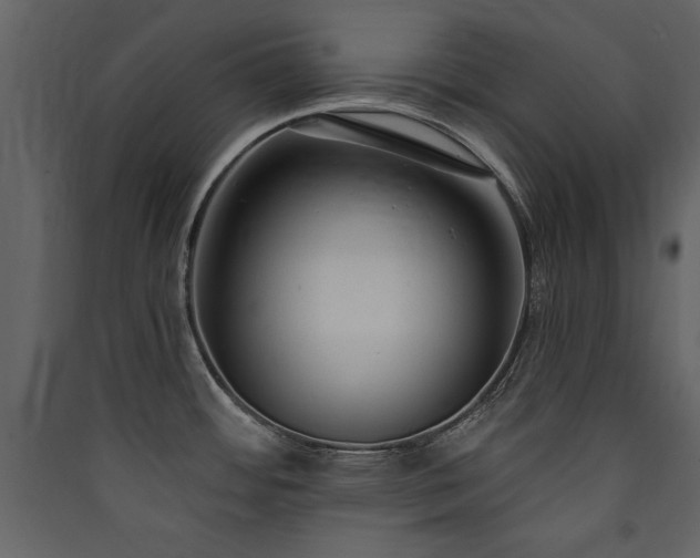 X0000090421484200707131158