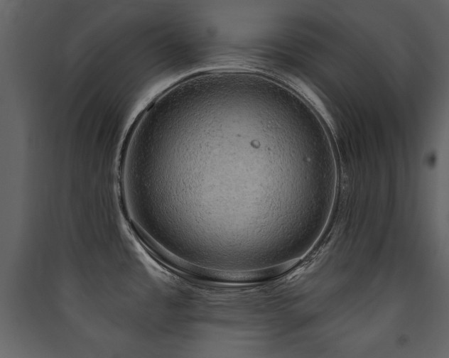 X0000090421485200707131158