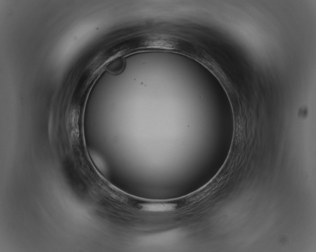 X0000090421487200707131158