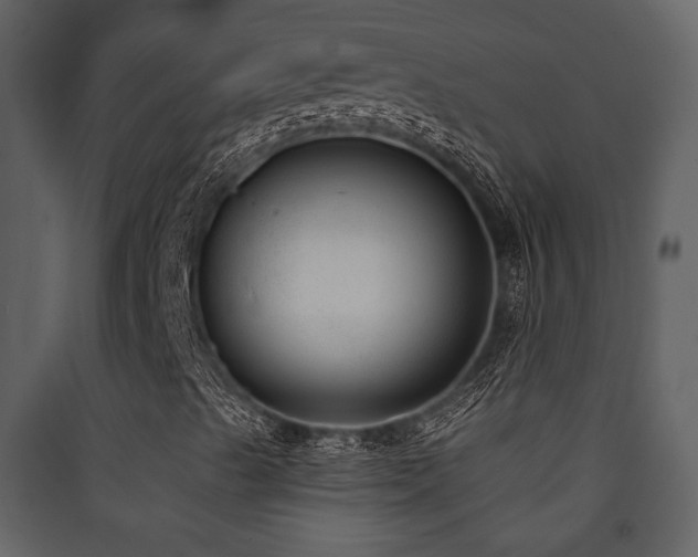 X0000090421489200707131157