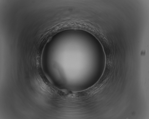 X0000090421490200707131157
