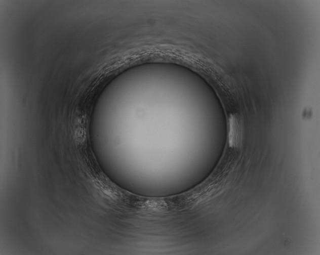 X0000090421491200707131157