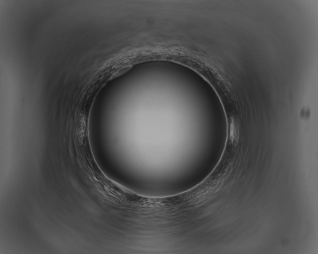 X0000090421492200707131157