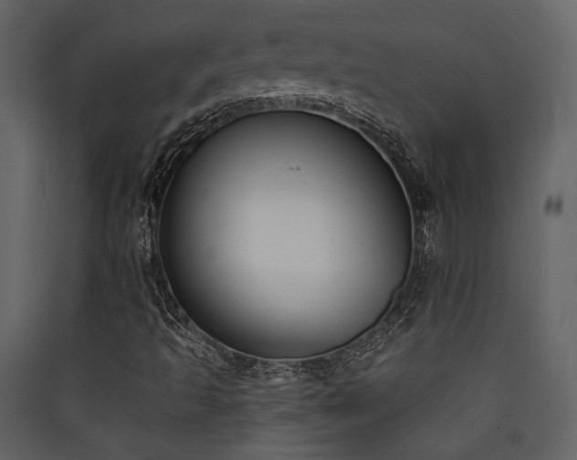 X0000090421493200707131157