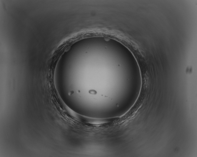 X0000090421494200707131157