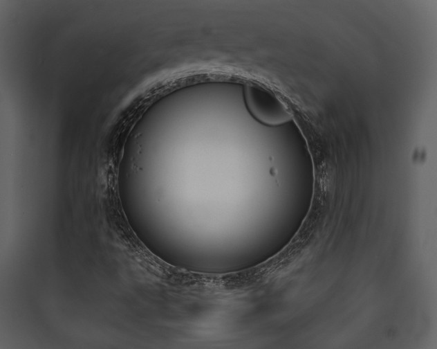 X0000090421495200707131157