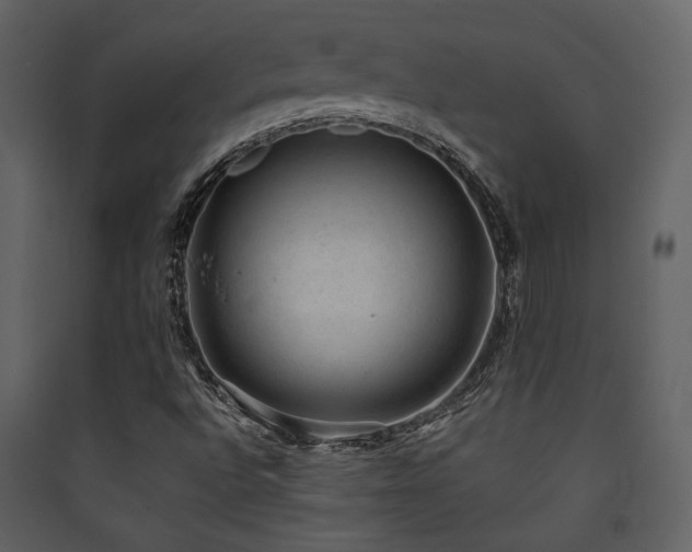 X0000090421496200707131157