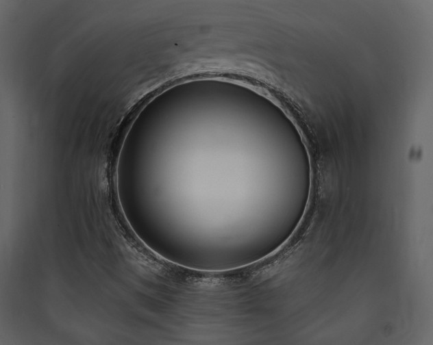 X0000090421497200707131157