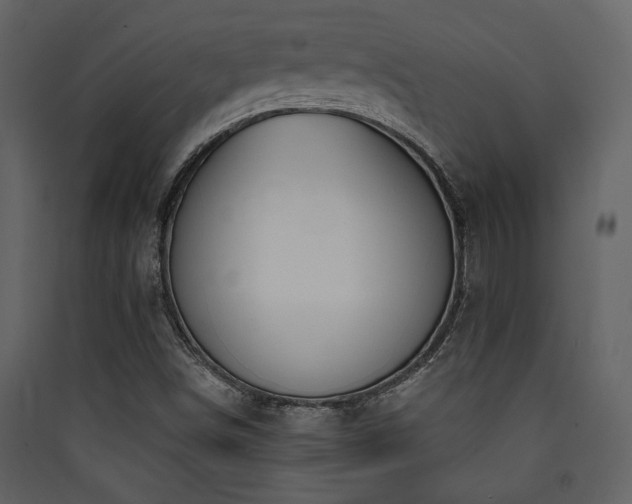 X0000090421498200707131157