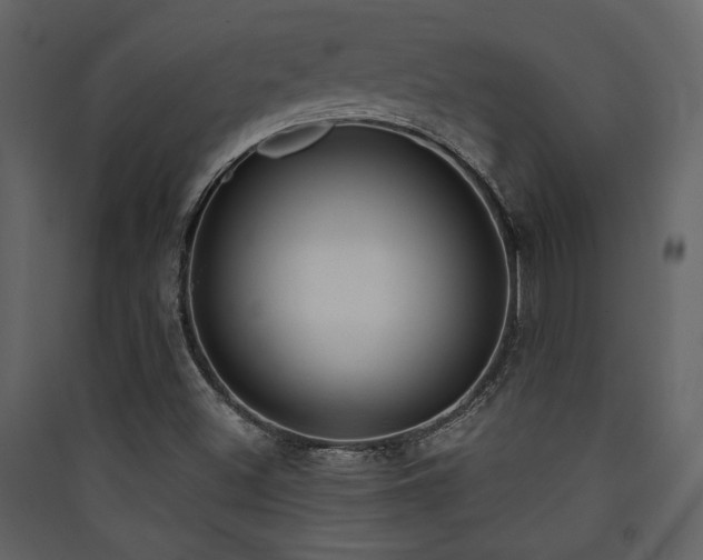 X0000090421500200707131157