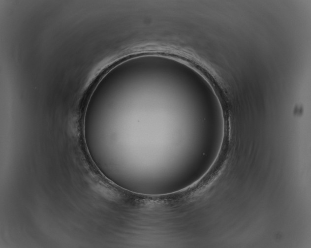 X0000090421501200707131157