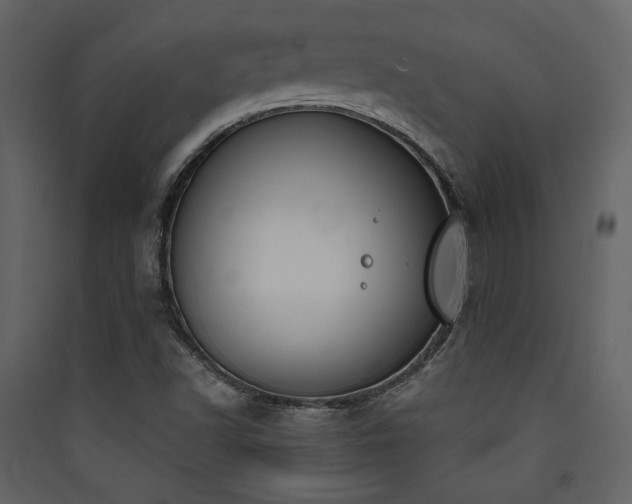 X0000090421502200707131157
