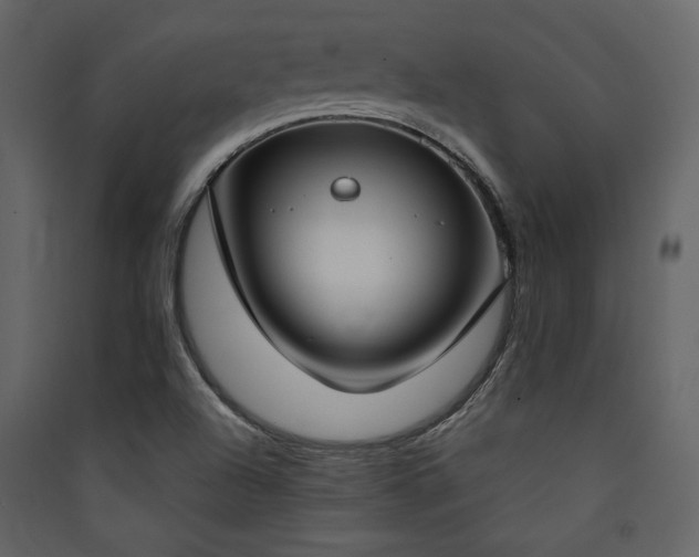 X0000090421504200707131157