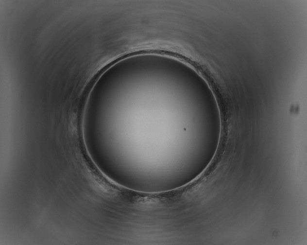 X0000090421505200707131157