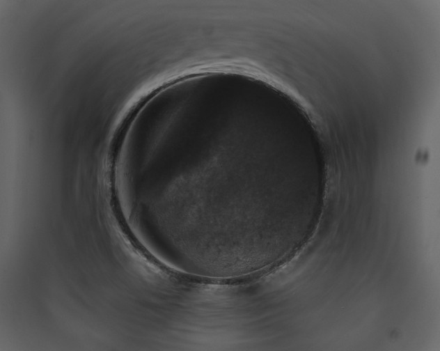 X0000090421506200707131157