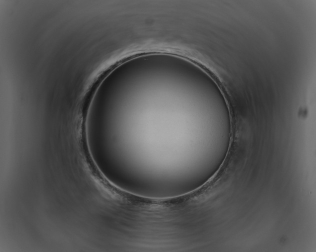 X0000090421507200707131157