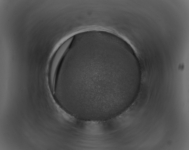 X0000090421508200707131157