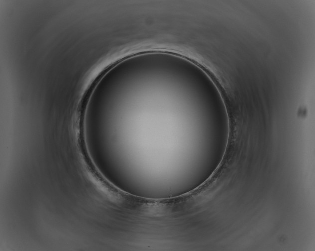 X0000090421511200707131158