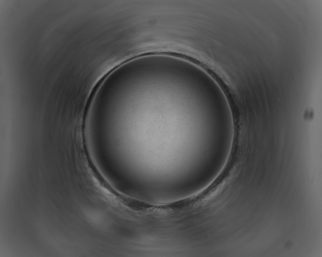 X0000090421513200707131158