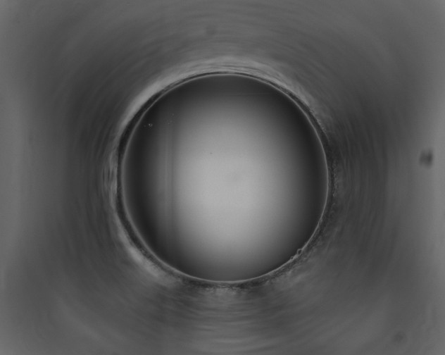 X0000090421515200707131158